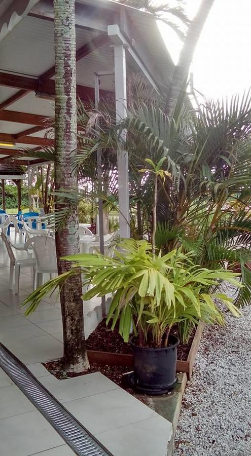Hotel Des Amandiers Cayenne Esterno foto