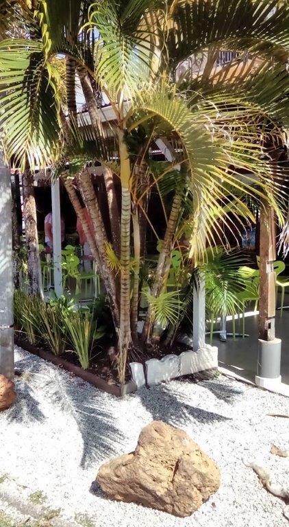 Hotel Des Amandiers Cayenne Esterno foto